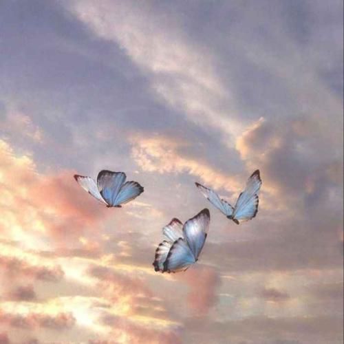  رکب زدش دل تو فن زدش به زندگیم گند زدش