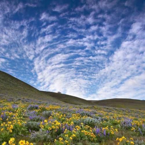 نمیترسم از آیندم مسیر تو رو باید رفت