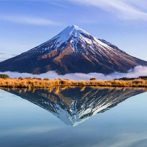 خارجی همه چیز باید همین طوری میشد