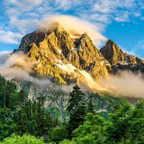 دوتا دارم شیش تا دیگه میخوام بشم مسی