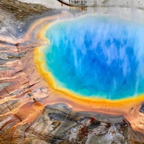  میگن متهم ردیف اولم کلفته مثه وکالام حتی گردنم