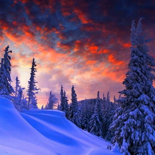  الان بی پر و باله چاقال گرفته فاز بلند پرواز