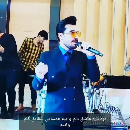 فرشید حکمتی ذره ذره عاشق دلم وابیه همسایی شقایق گلم وابیه