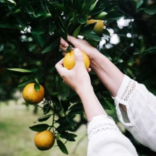 مهره ی مار چشات عالمی داره چشات با صدای زن