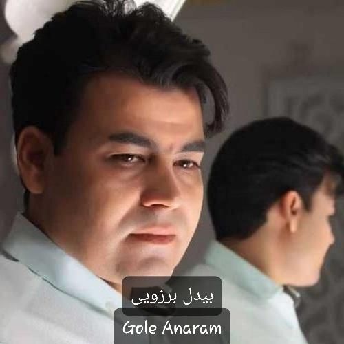 بیدل برزویی گل انارم