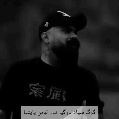 فرهاد جهانگیری گرگ سیاه تازگیا دور تونن پاپتیا