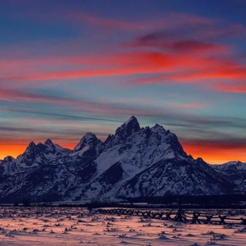  سنگ فرش خیابونارو گل کردم برات با صدای زن