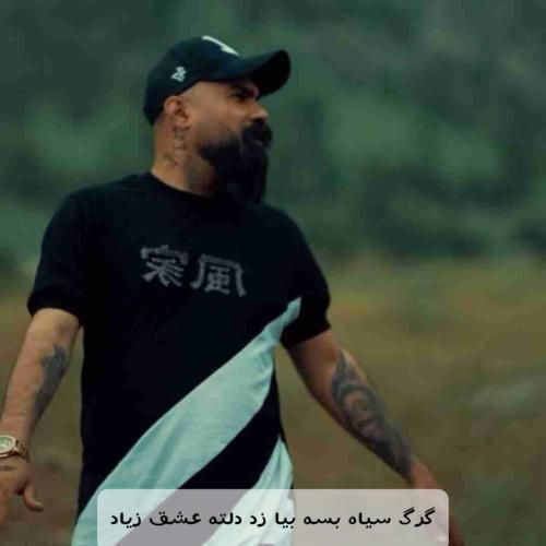 فرهاد جهانگیری گرگ سیاه بسه بیا زد دلته عشق زیاد