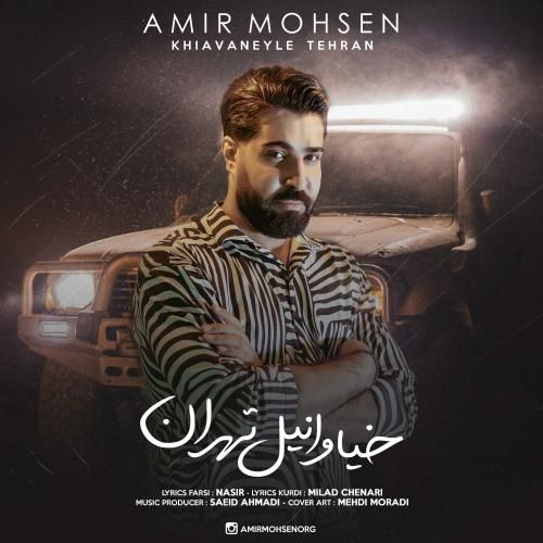 امیر محسن خیاوانیل تهران