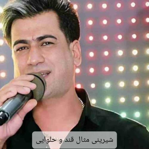 مسلم فتاحی شیرینی مثال قند و حلوایی