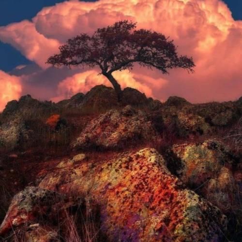  صبح پا میشم تا که از خواب دو سه حبس کام