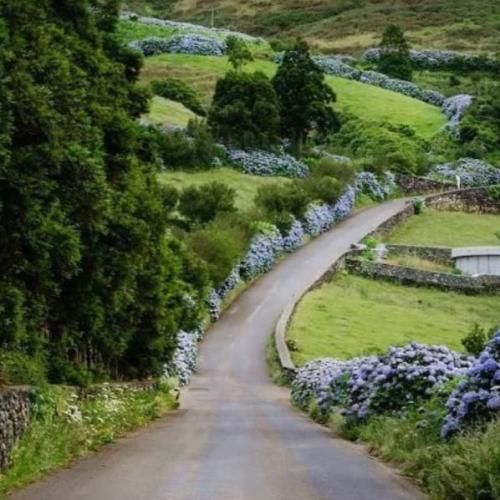 من با چشم بسته بیدارم حرفام به دردام با صدای دختر