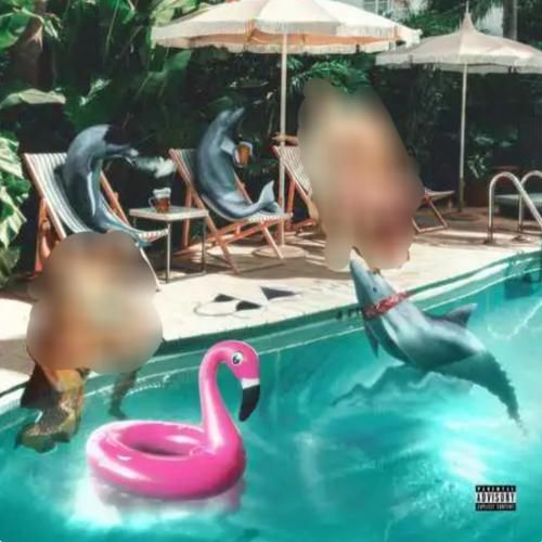 سپهر خلسه و سیجل و یانگ صادن دلفین