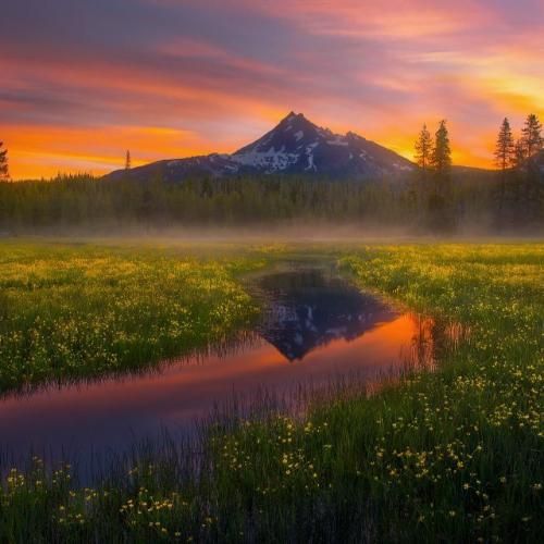  دافت فلته مثه تی وی میخواد برنامه کنه پی وی