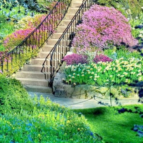  ای رفیقان چه نشستید به پریشانی من با صدای زن