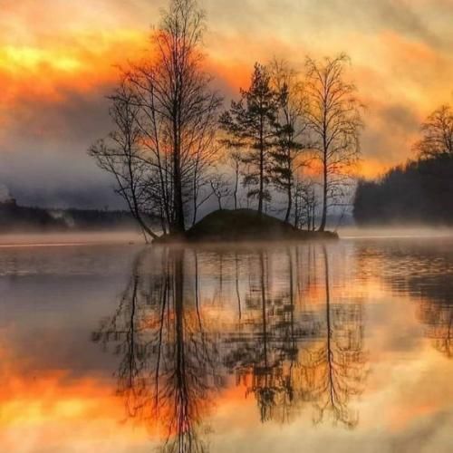  نه‌ تب ‌میکنم برا کسی‌ که‌ نمیره واسم ديگه مهم نی جفت شیش