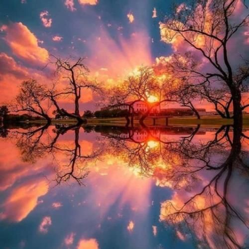 از صدام میچکه جنس فلوم میده طعم بیس بیس بیس