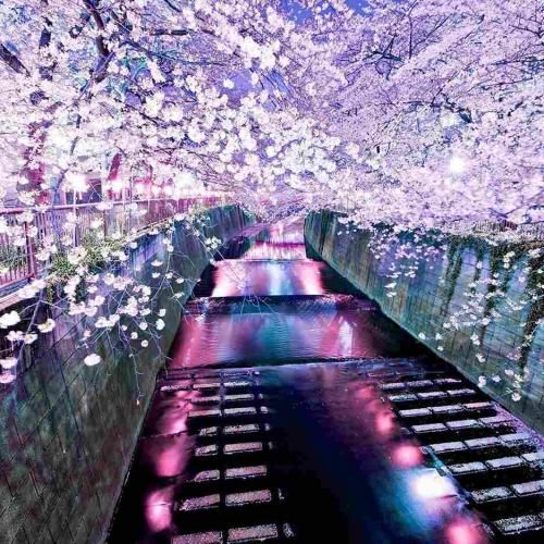  زید بازی دیگه جواب نمیده میپرسین چرا