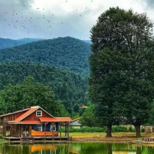 فردا دوباره پاییز میشه باز با صدای زن