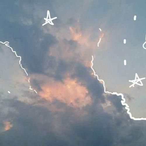  پرس سینه اسکات سر شونه سیب زمینی تخم مرغ صبحونه