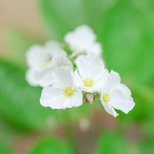 یکی گرفته جامو تو قلبت کارات برعکس رو مخه