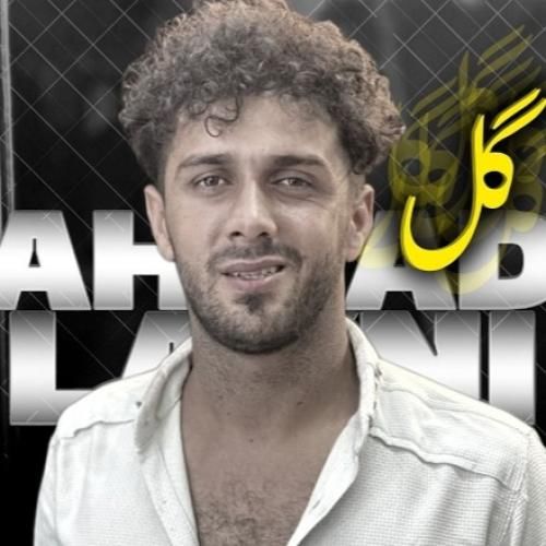 احمد لائینی دخترا گل بچینید بوی نکنید
