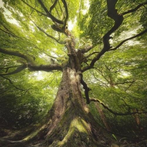 هر روز هفته سر گذر محله جنجال و غوغاست با صدای دختر