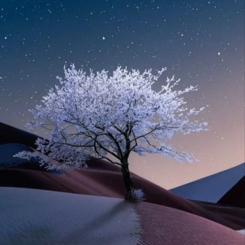 چوار کوله که ی ماله که م باوانی باوانکه م