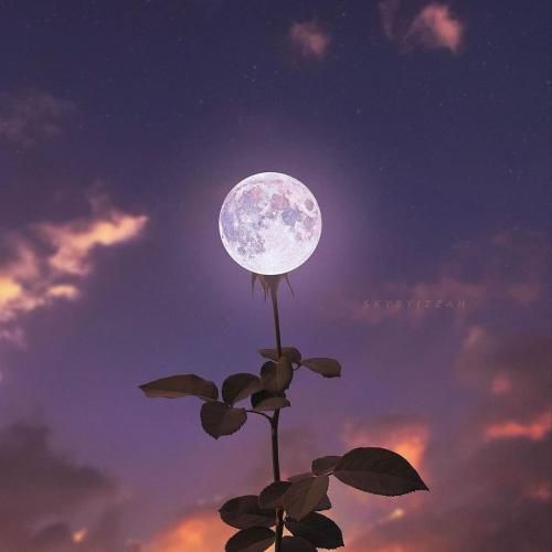 لنا از تو اصرار از بقیه انکار دروغاتو نکن تکرار