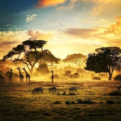  خارجی نیلز چک هر چک فیس چک