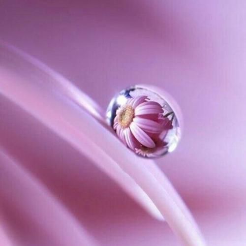 ماهک یدونم یدونم یدونه نازلیم