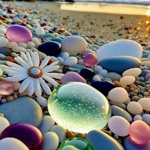  حالت پروازیم ایرپلن مد لیبلتون واسه لیبلم خورد