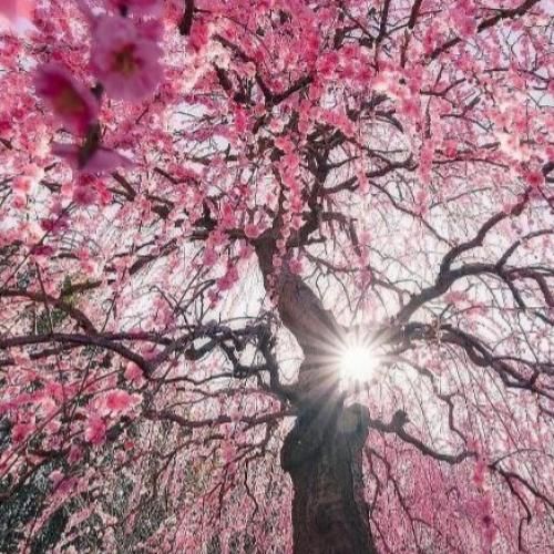 تو که باشی غمی نی همه باهام طرف بشن با تو میشه