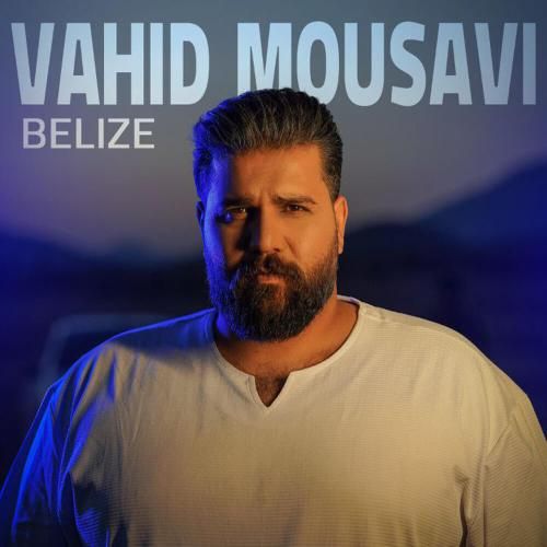 وحید موسوی بلیز