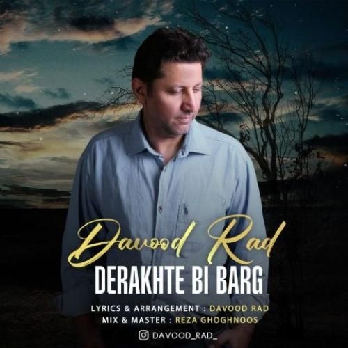 داوود راد درخت بی برگ