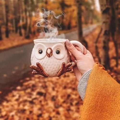 ولگا بغض شب