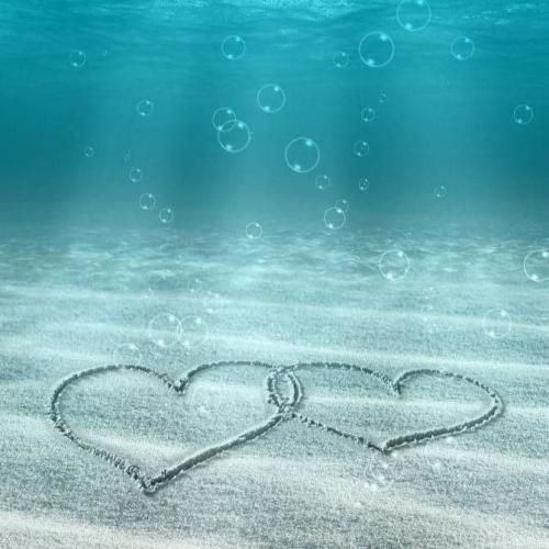 به ماشینم میگن بتموبیل ماشین بتموبیل من نه بوق داره