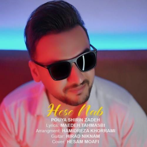 پویا شیرین زاده حس ناب