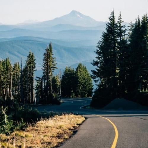 دانیال و فدی دراگ