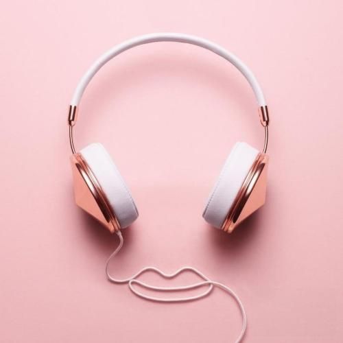 دی جی حمید خارجی گل رز