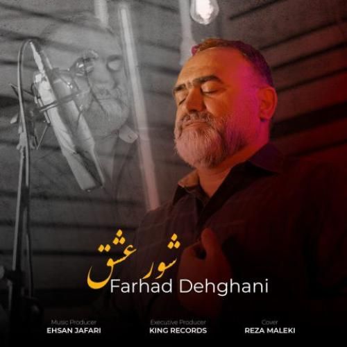 فرهاد دهقانی شور عشق