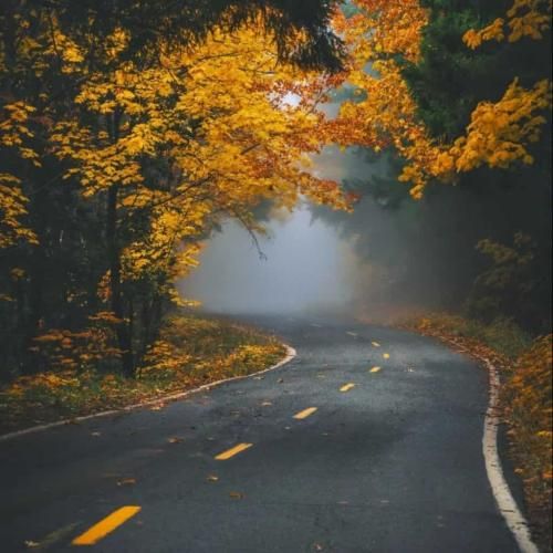 سارا دیبا عشق