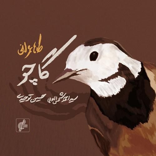 طاها عمرانی گاچو