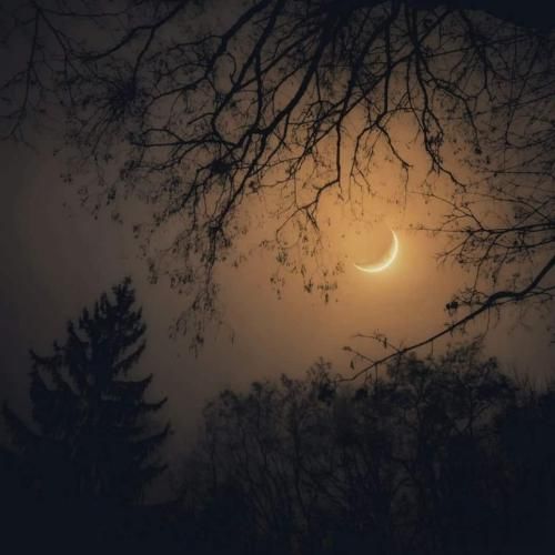  باید رفت فراموش کن که بودم وابستت حالا