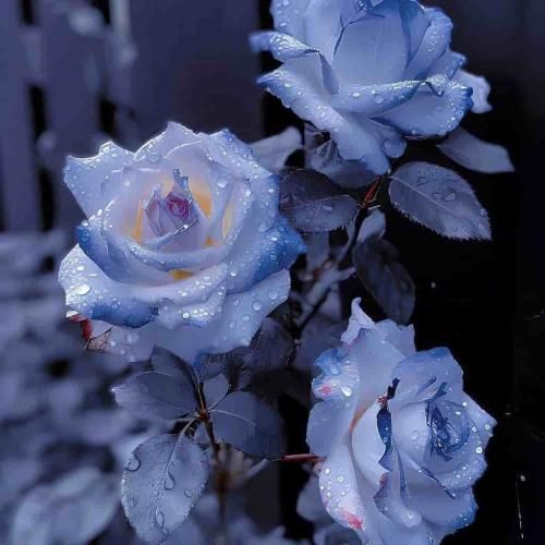 لنا از سرم برو