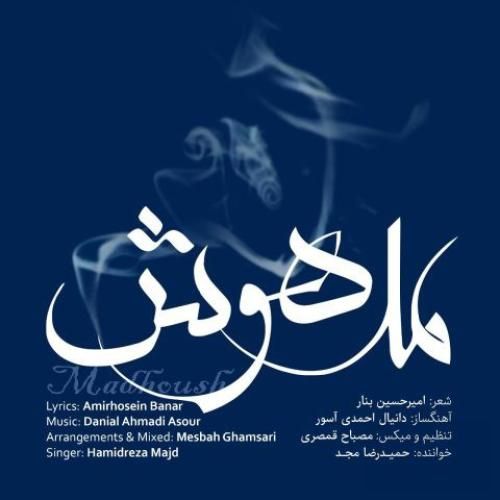 حمیدرضا مجد مدهوش