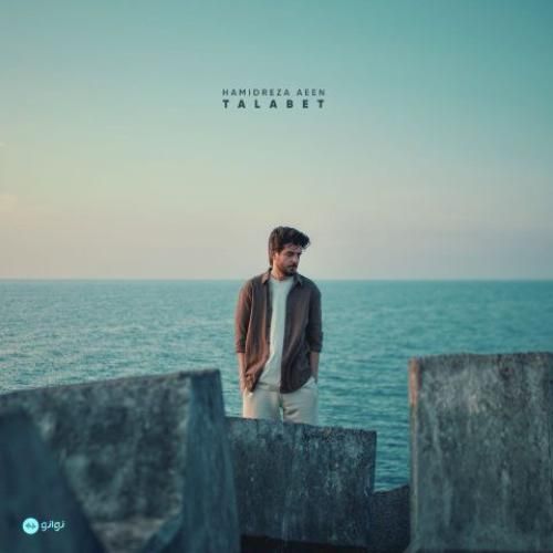 حمیدرضا آیین طلبت