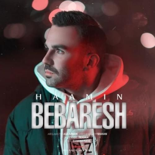 هامین موسوی ببرش