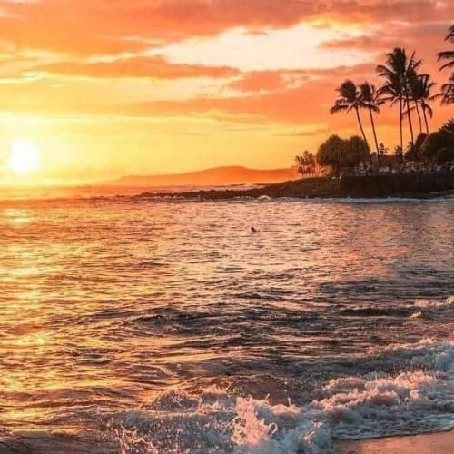  چشام باریدن تو رو تا دیدم باهام بازی کرد