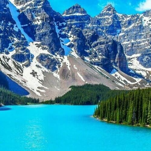  بلند شو یه غلطی بکن یه بخور آب دهن کدوم